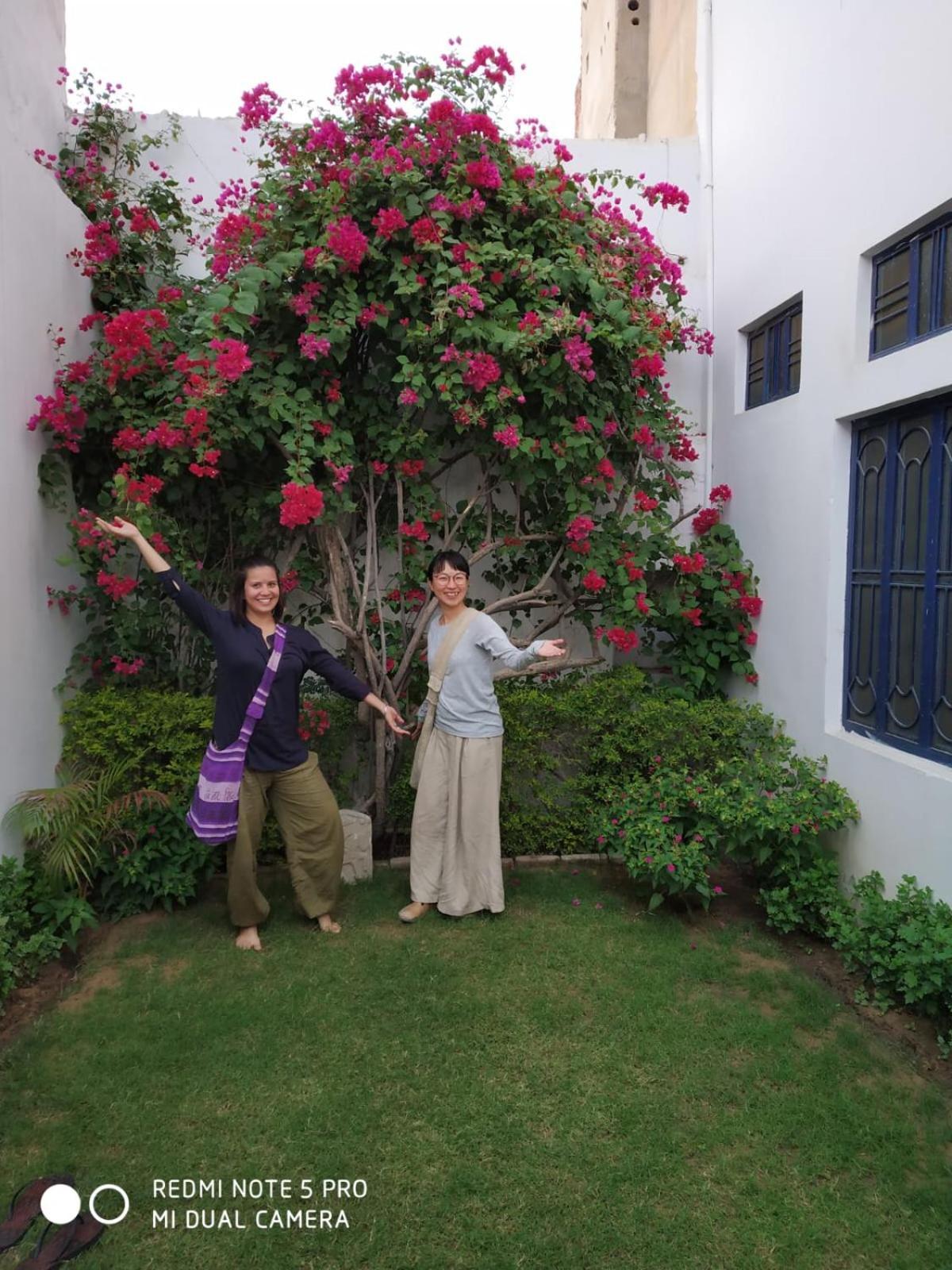 Rajguru Guest House Pushkar Eksteriør bilde