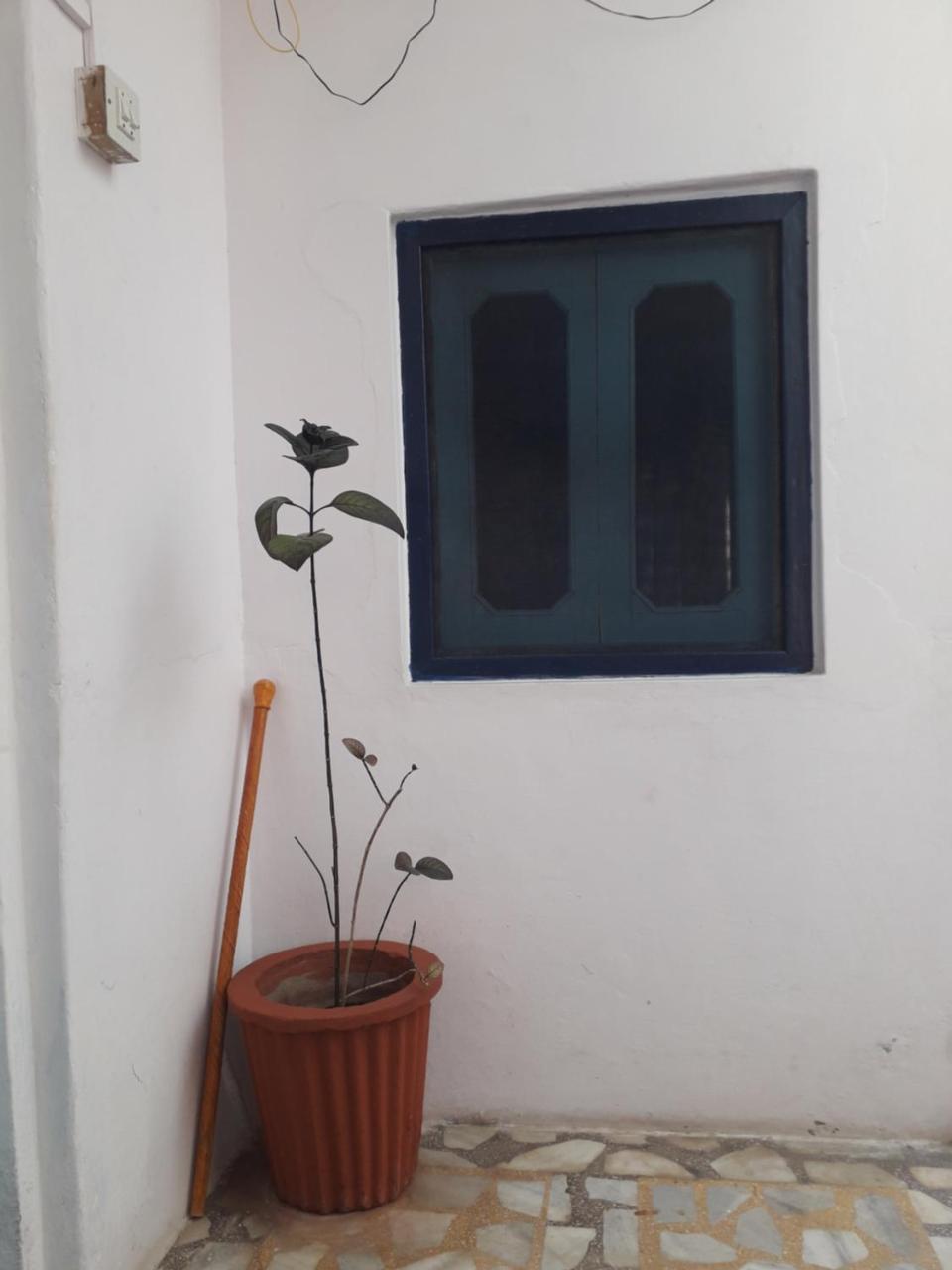 Rajguru Guest House Pushkar Eksteriør bilde